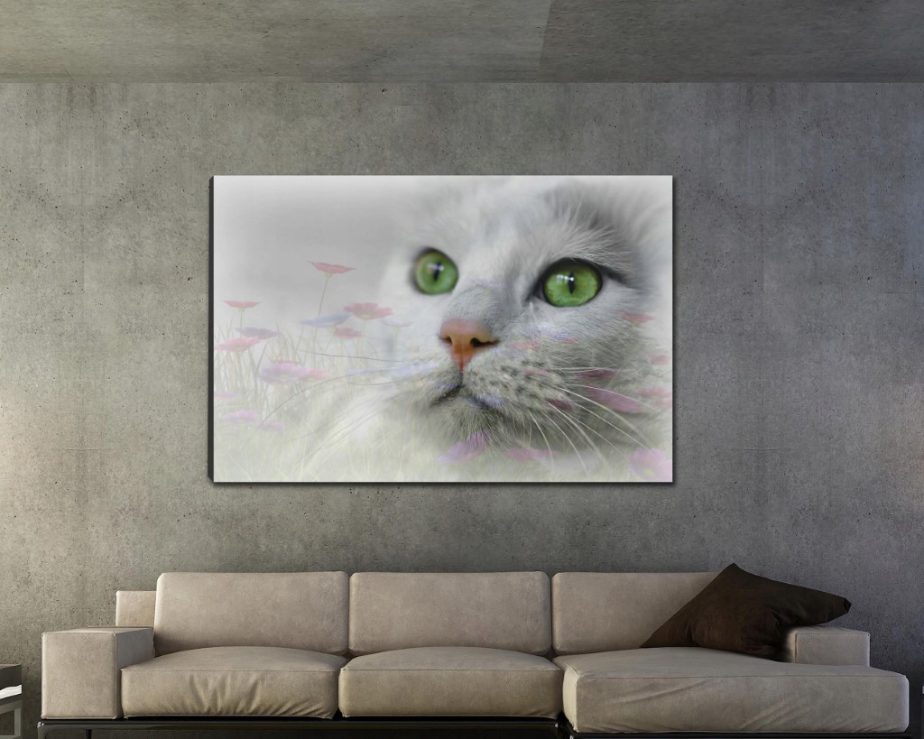 'Baltojo katino svajonė' paveikslas ant drobės