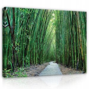 'Bambukų miškas' tapyba ant drobės