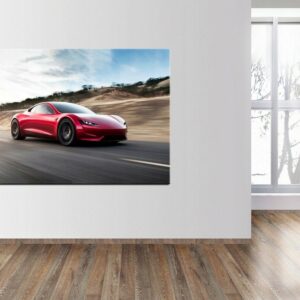 'Tesla Roadster' paveikslas ant drobės
